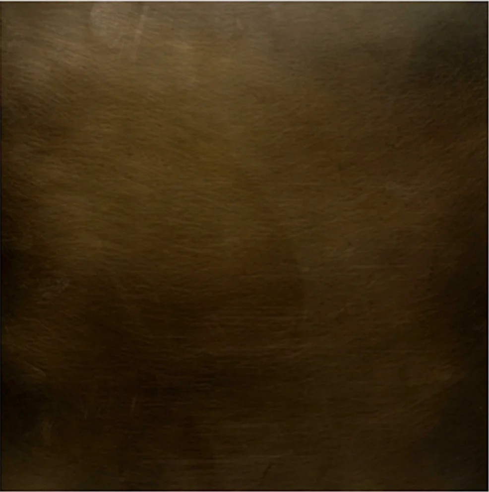 Dark burnished architectural bronze finish swatch
